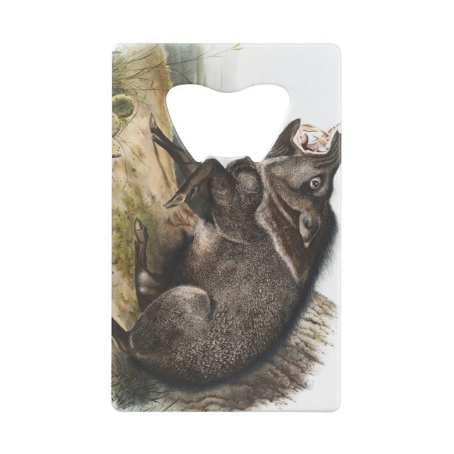 Collared Peccary Pig Camping Deco Gifts Geldbeutel Flaschenöffner (Rückseite)
