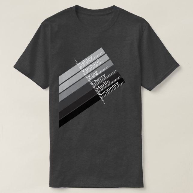 College Park Graustufen  T-Shirt (Design vorne)