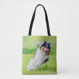 Collie