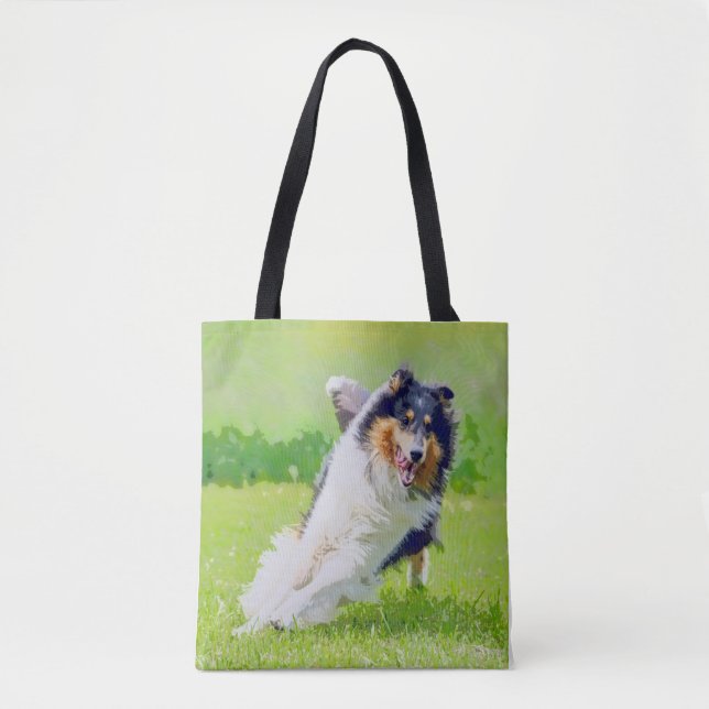 Collie (Vorderseite)