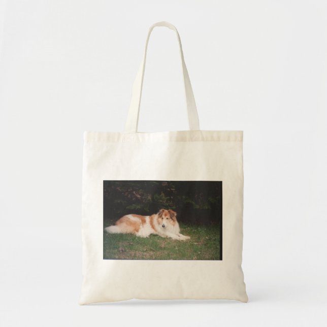 Collie2 Tragetasche (Vorne)