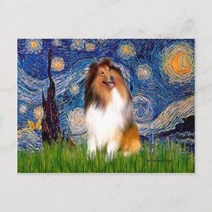 Collie 1 - Sternennacht Postkarte