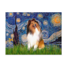 Collie 1 - Sternennacht