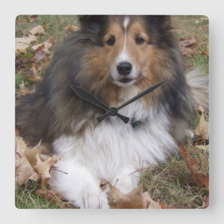 Collie-6 Quadratische Wanduhr