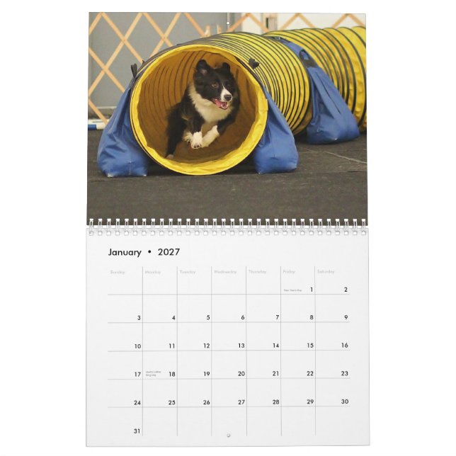 Collie-Agility-Kalender der Grenze2015 Kalender (Jan 2027)