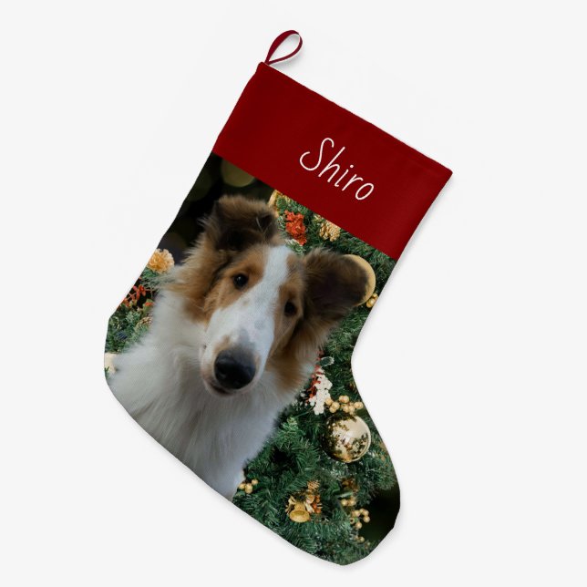 Collie Christmas Strumpf Großer Weihnachtsstrumpf (Vorderansicht (hängend))