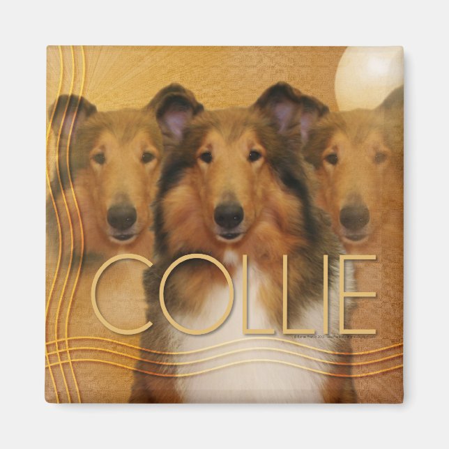Collie Crescent Moon Magnet (Vorne)