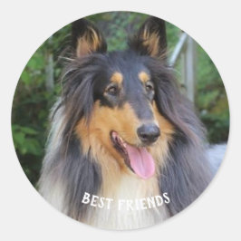 Collie Dog Best FRIENDS Runder Aufkleber