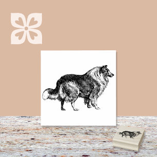 Collie Dog Breed Gummistempel