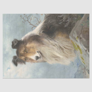 Collie Dog Decoupage Decoupaging Seidenpapier