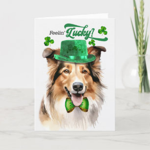 Collie Dog Feelin' Lucky St Patrick's Day Feiertagskarte