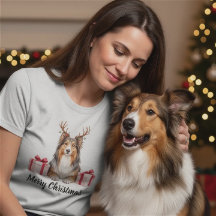 Collie dog - Festive Collie