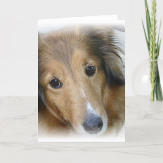 Collie Dog Grußkarte Karte