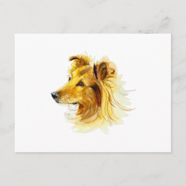 Collie Dog Portrait Postkarte (Vorderseite)
