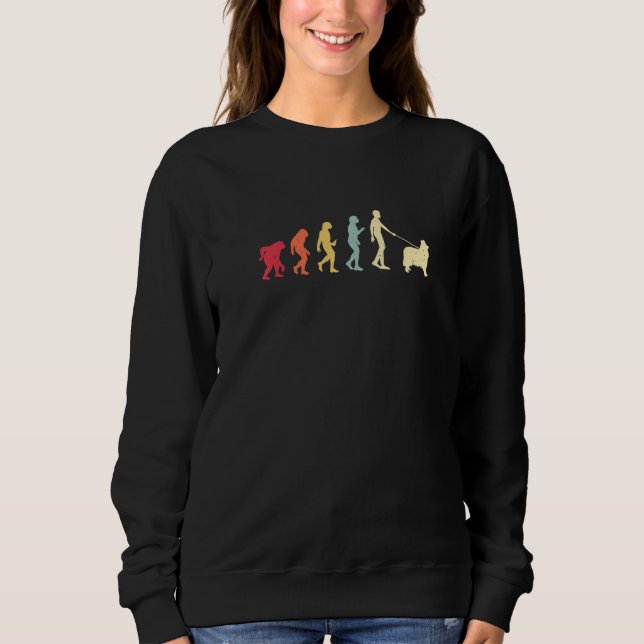 Collie Evolution Retro Vintage Premium Sweatshirt (Vorderseite)