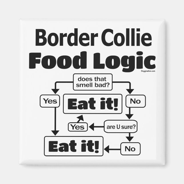Collie Food Logic Magnet (Vorne)