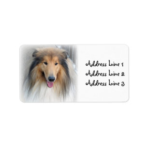 Collie-Foto-Adressetikett Adressaufkleber