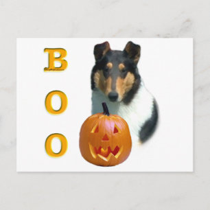 Collie (glatt) Boo Postkarte