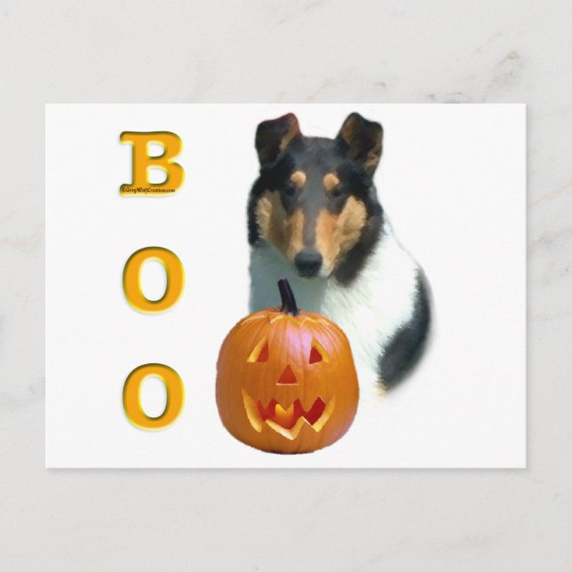 Collie (glatt) Boo Postkarte (Vorderseite)