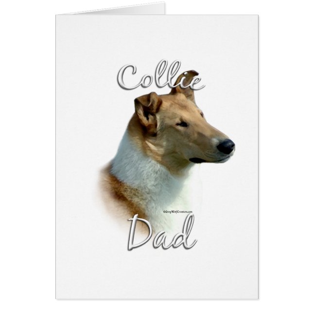 Collie (glatt) Vater 2 (Vorne)