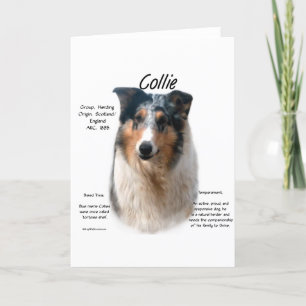 Collie (glattes Merle) Historie Design Feiertagskarte