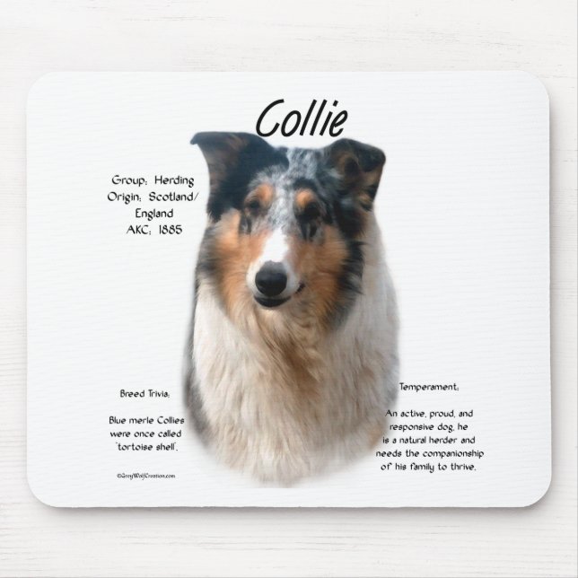 Collie (glattes Merle) Historie Design Mousepad (Vorne)