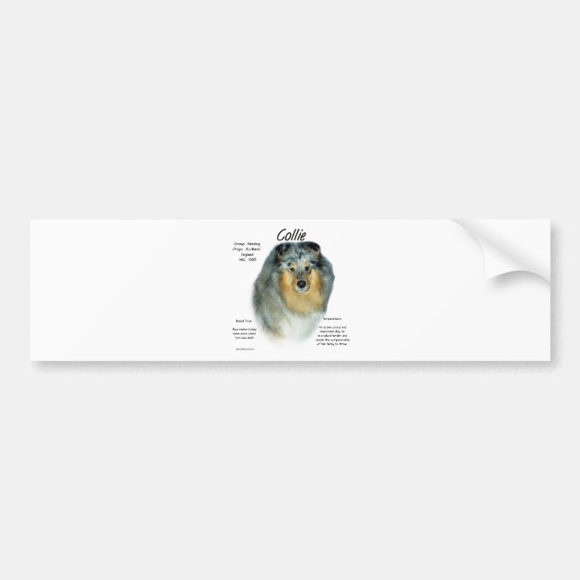 Collie (Grob Merle) History Design Autoaufkleber (Vorne)