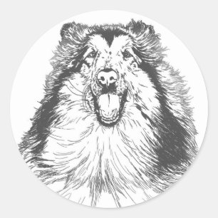 Collie Head Studies Art Runder Aufkleber