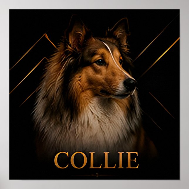 Collie Heritage Shepherd Kollektion Poster (Vorne)