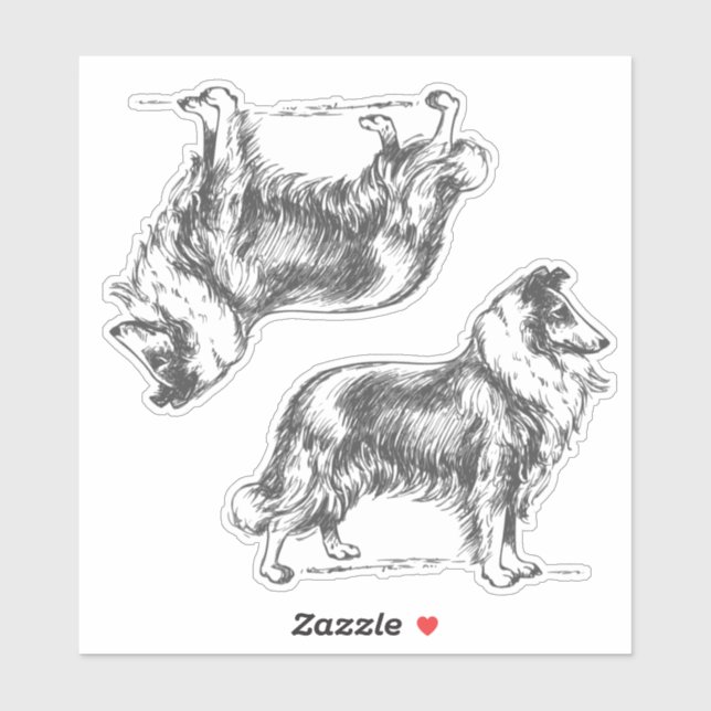 Collie-Hund Aufkleber (Blatt)