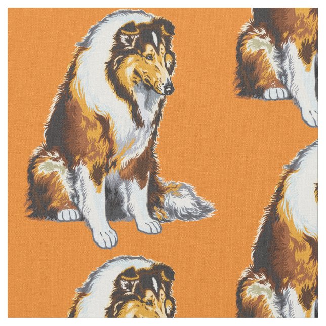 Collie Hund Stoff (Nahaufnahme)