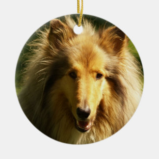 Collie-Hundezucht-Verzierung Keramikornament