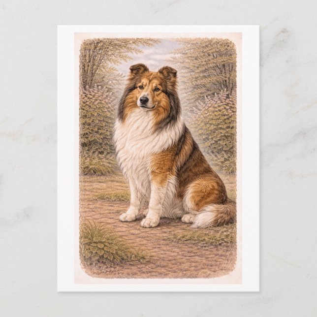 Collie im Vintage-Stil Postkarte (Vorderseite)