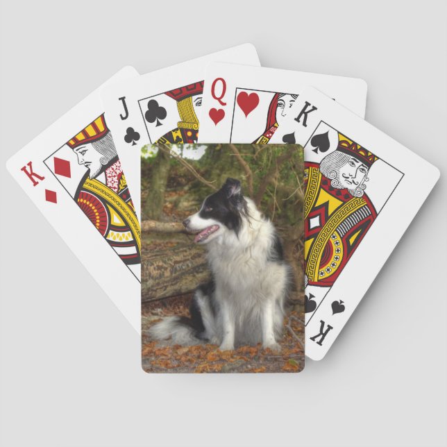 Collie im Wald Spielkarten (Rückseite)