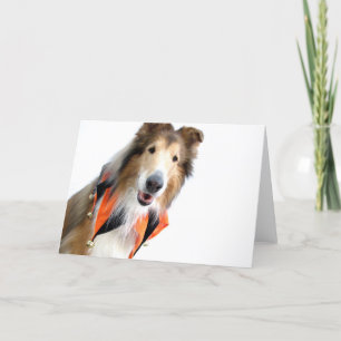 Collie in den Spaßvogel-Kragen-Karten Karte
