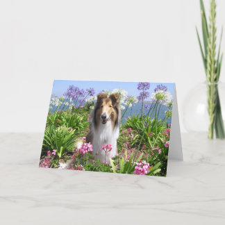 Collie in der Blumen-Karte Karte