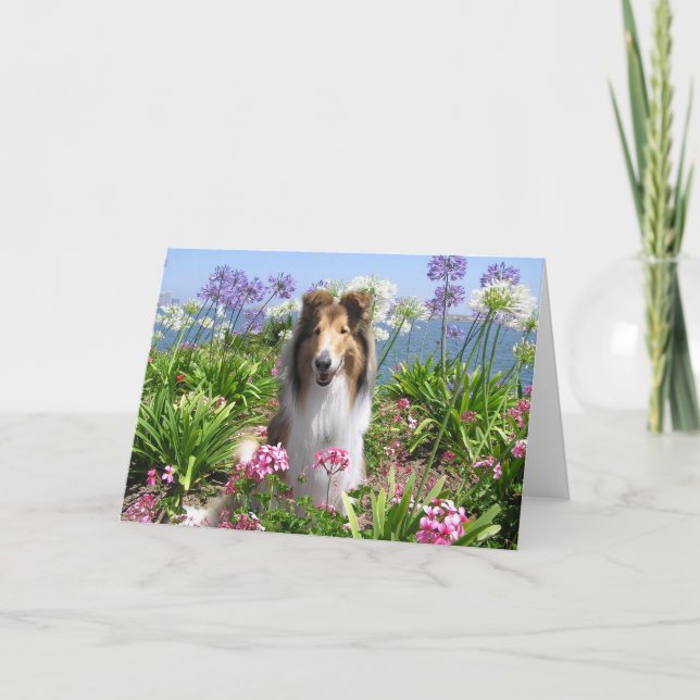 Collie in der Blumen-Karte Karte (Vorderseite)