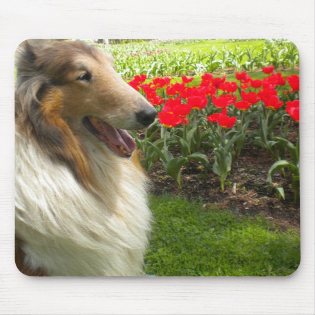 Collie in der Tulips-Maus-Pad Mousepad (Vorne)