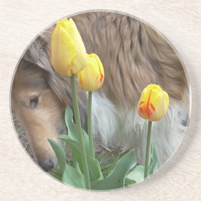 Collie in Tulips Untersetzer (Vorne)