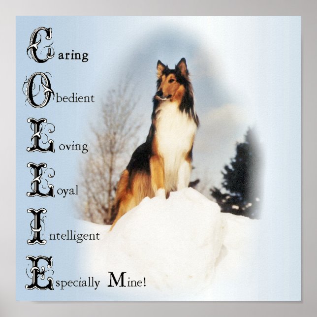 Collie ist... Rough Collie Art Poster (Vorne)