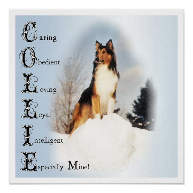 Collie ist... Rough Collie Art Poster (Vorderseite)