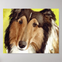 Collie-Kunst