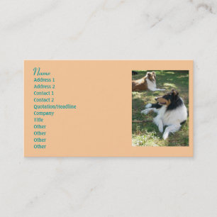 Collie Lovers Business Cards 2 Visitenkarte
