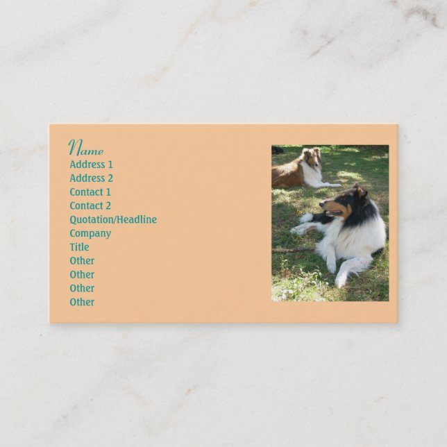Collie Lovers Business Cards 2 Visitenkarte (Vorderseite)