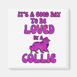 Collie-Magnet Magnet