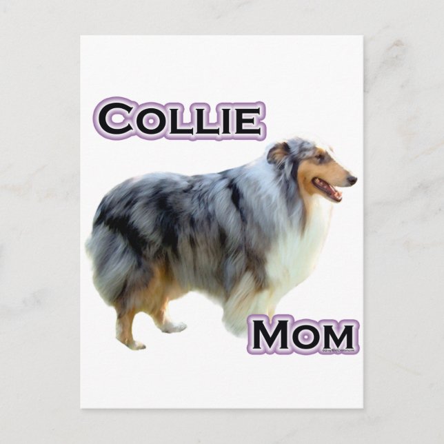 Collie Mama 4 Postkarte (Vorderseite)