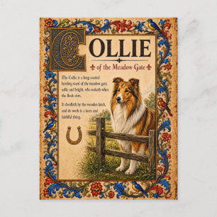 Collie, mittelalterliche Bestiarien-Kunst Postkarte