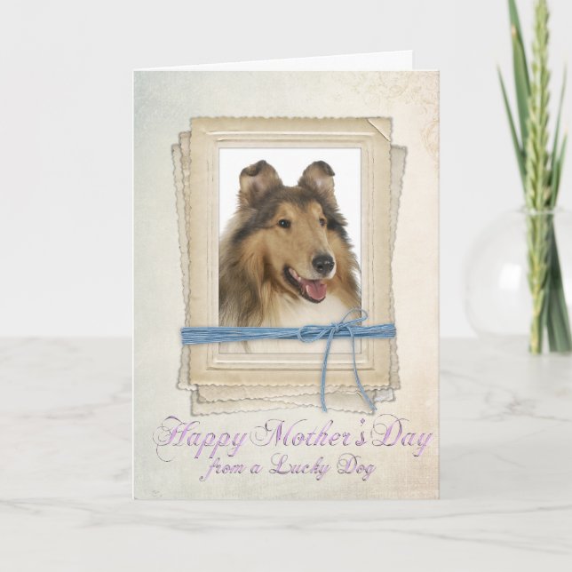 Collie Mother's Day Card Karte (Vorderseite)
