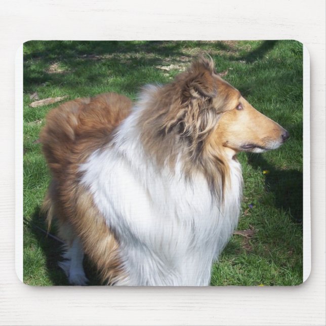 COLLIE MOUSEPAD (Vorne)
