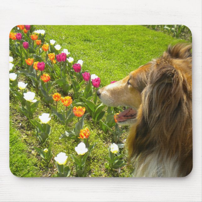 Collie N more Tulips Mouse Pad Mousepad (Vorne)